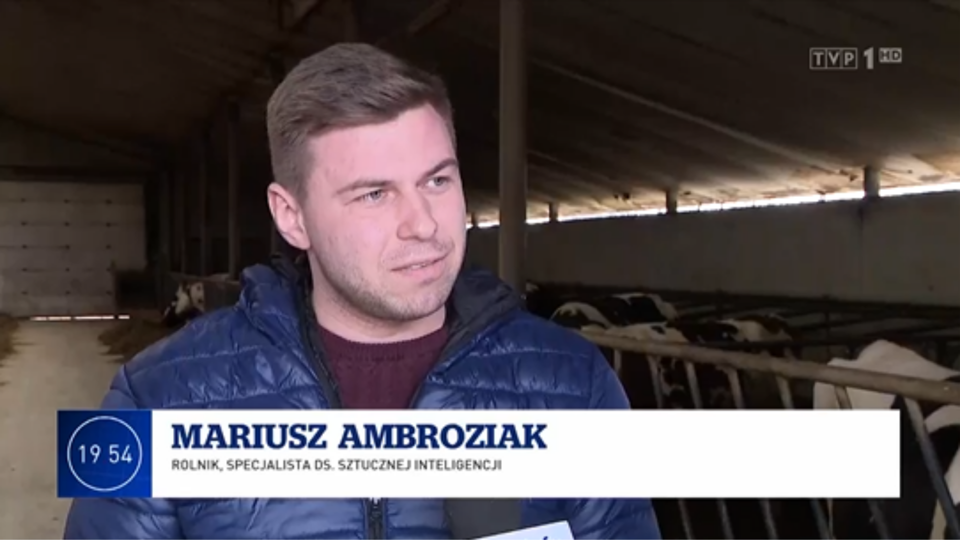 IMM raport kompetencje AI