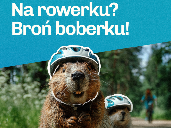 Województwo Podlaskie