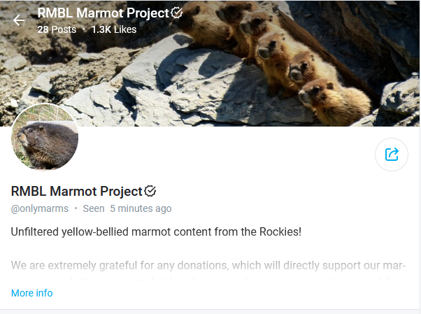 OnlyMarmot