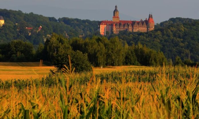 Zamek na Dolnym Śląsku